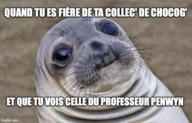Image postée par le membre