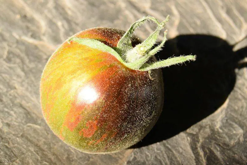 Image postée par le membre