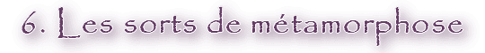 Image postée par le membre