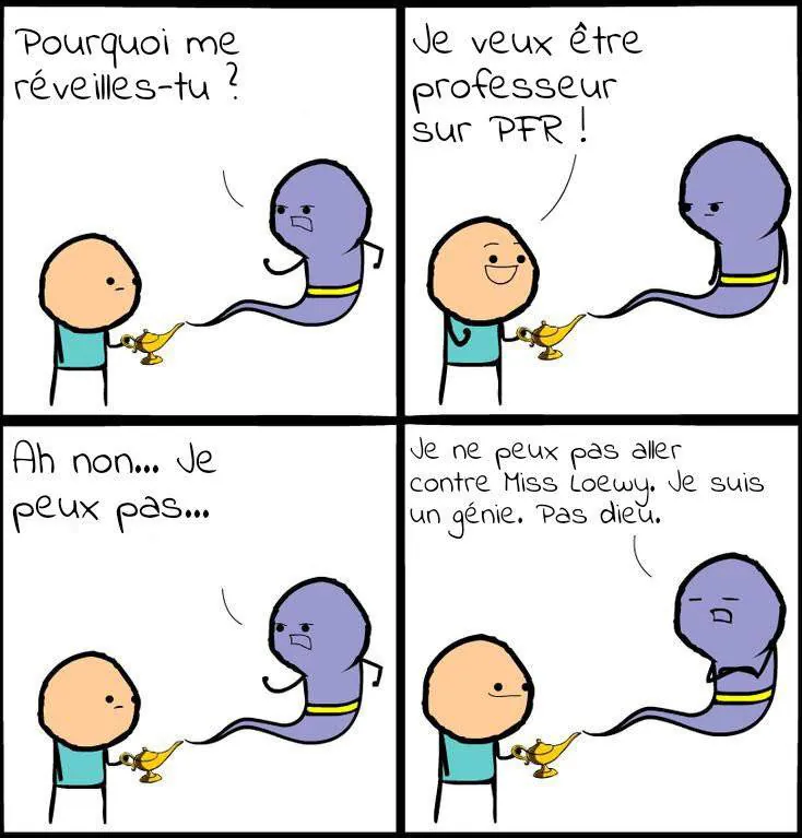 Image postée par le membre