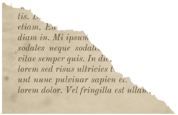 Image postée par le membre