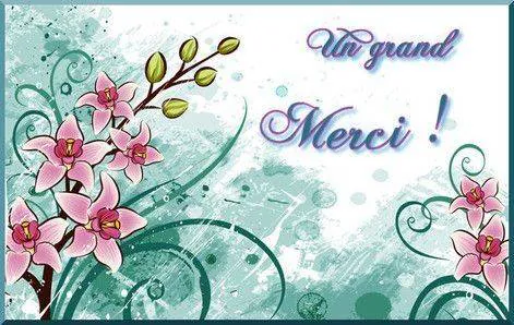 Image postée par le membre