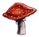 Image postée par le membre
