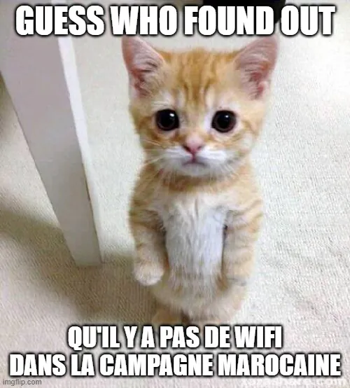 Guess who found out qu'il y a pas de wifi dans la campagne marocaine meme
