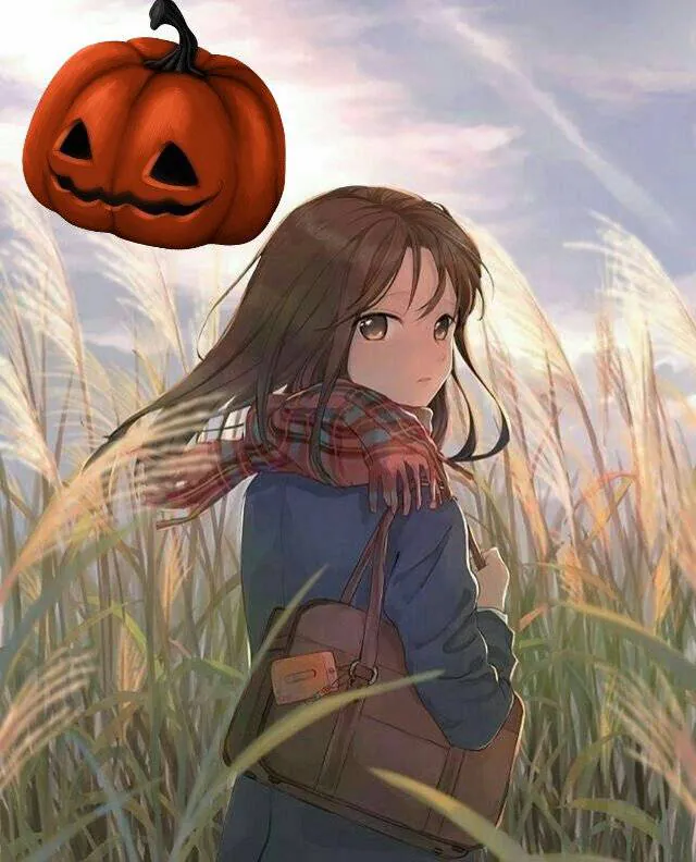 Image postée par le membre