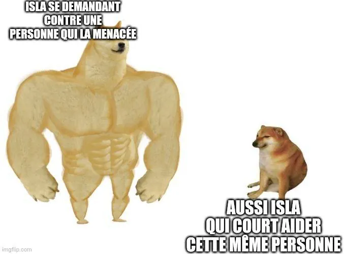 Image postée par le membre
