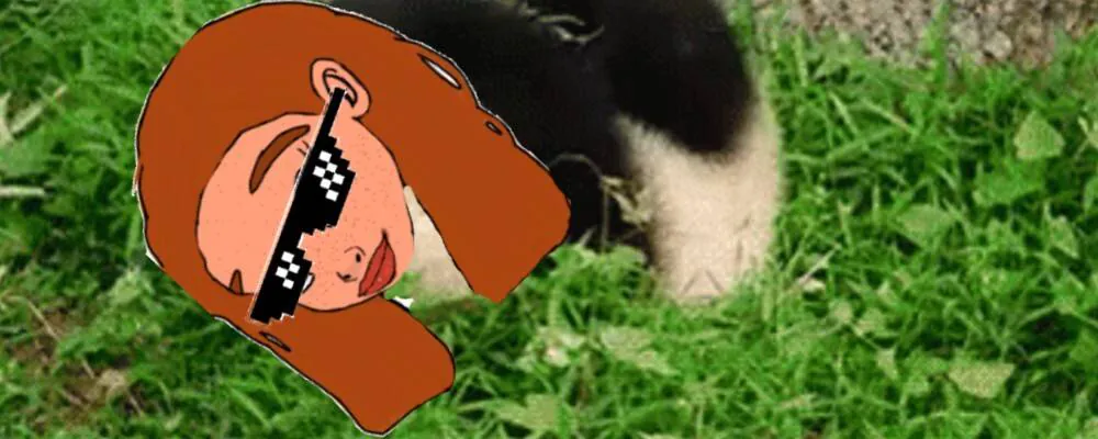 Image postée par le membre
