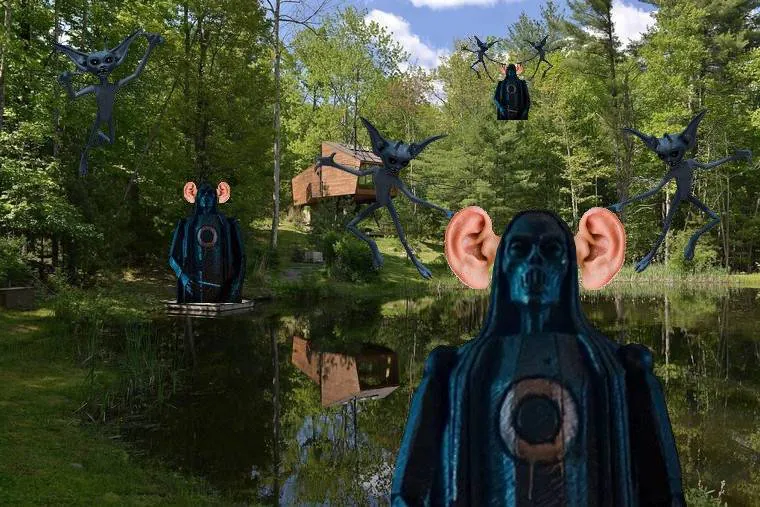Image postée par le membre