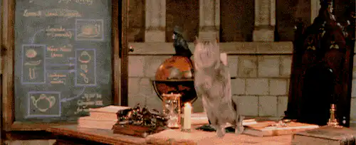 Image postée par le membre