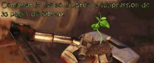 Image postée par le membre