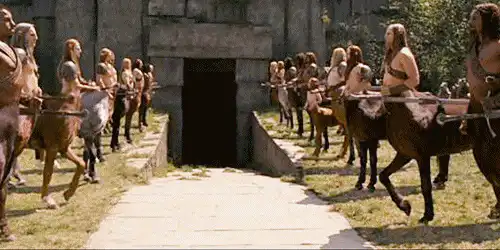 Image postée par le membre