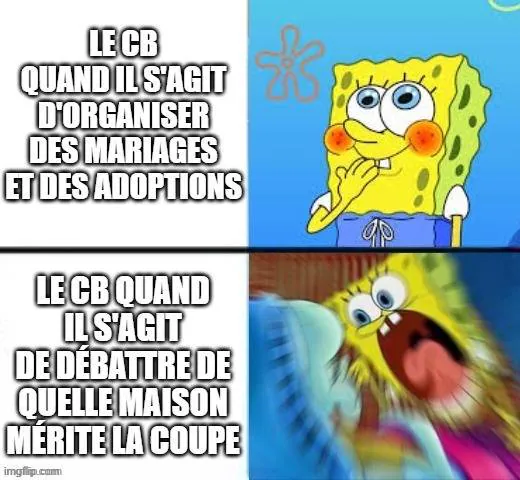 Image postée par le membre