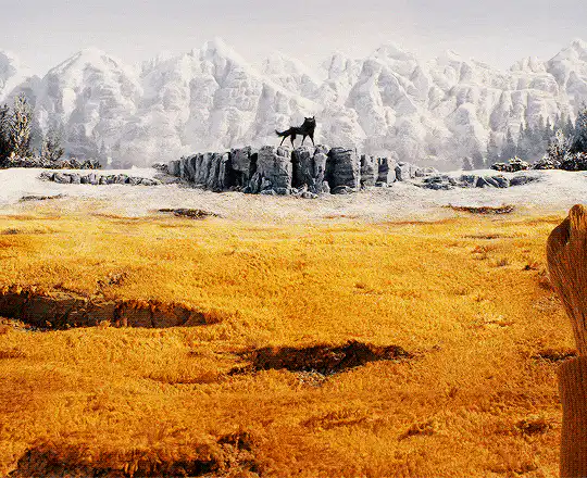 Image postée par le membre