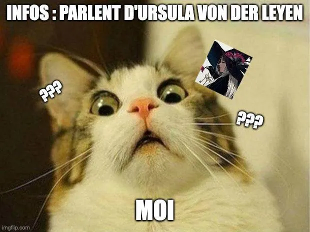 Image postée par le membre