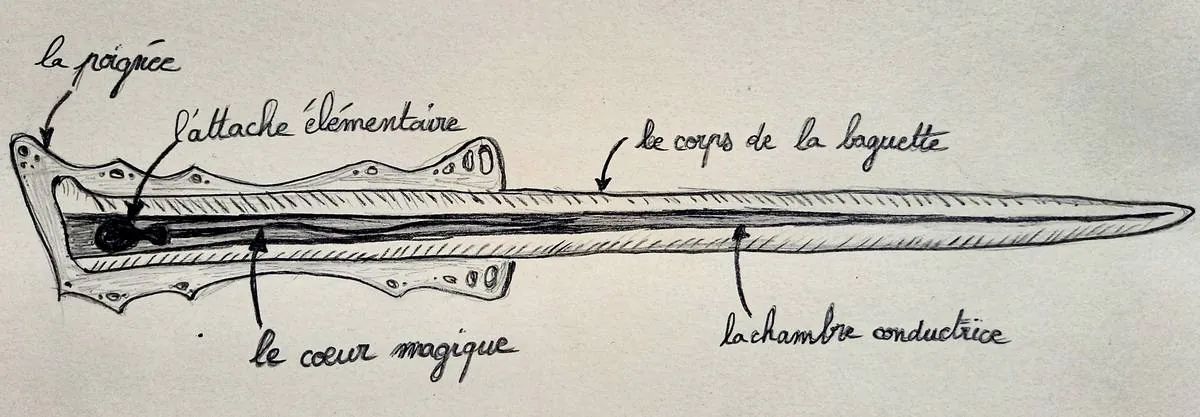 Image postée par le membre