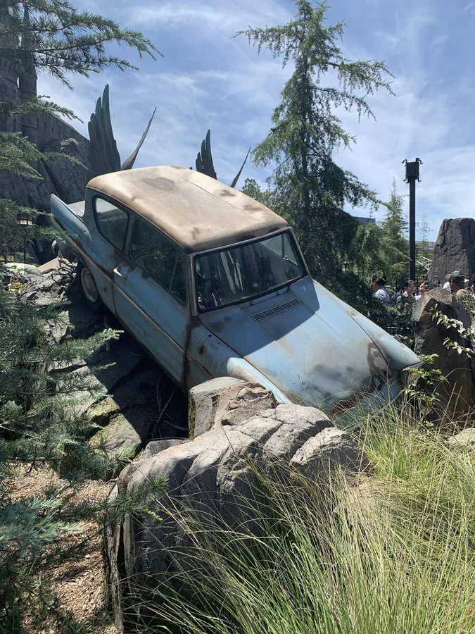 Image postée par le membre
