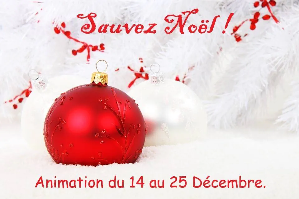 Image postée par le membre