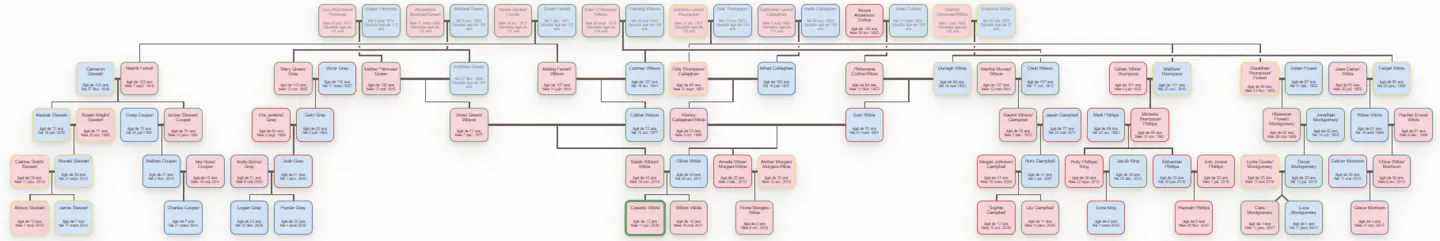 Arbre généalogique complet de la famille de Cassidy