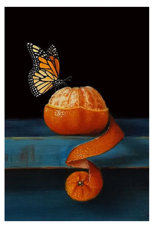 Image postée par le membre