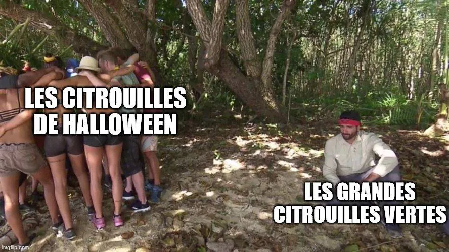Image postée par le membre