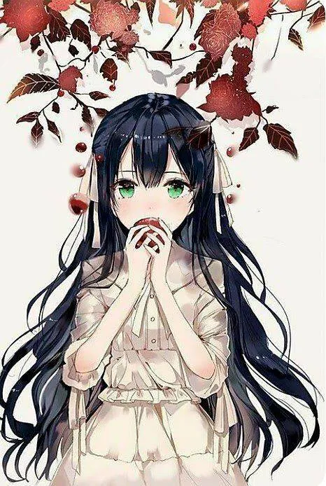 Image postée par le membre
