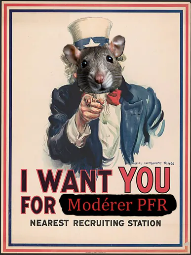 affiche i want you for modérer PFR