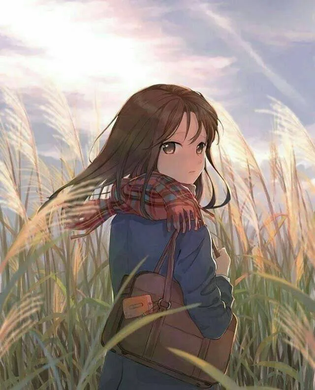 Image postée par le membre