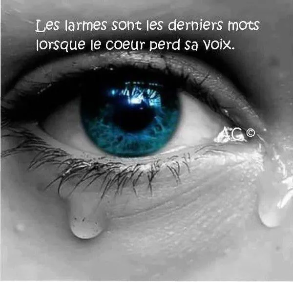 Image postée par le membre