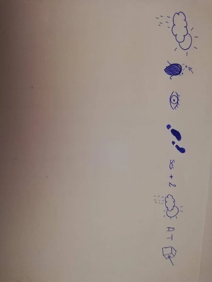 Image postée par le membre