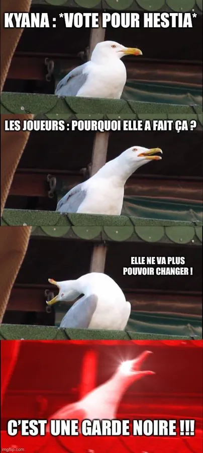 Image postée par le membre