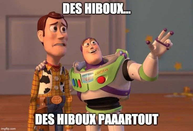 Image postée par le membre