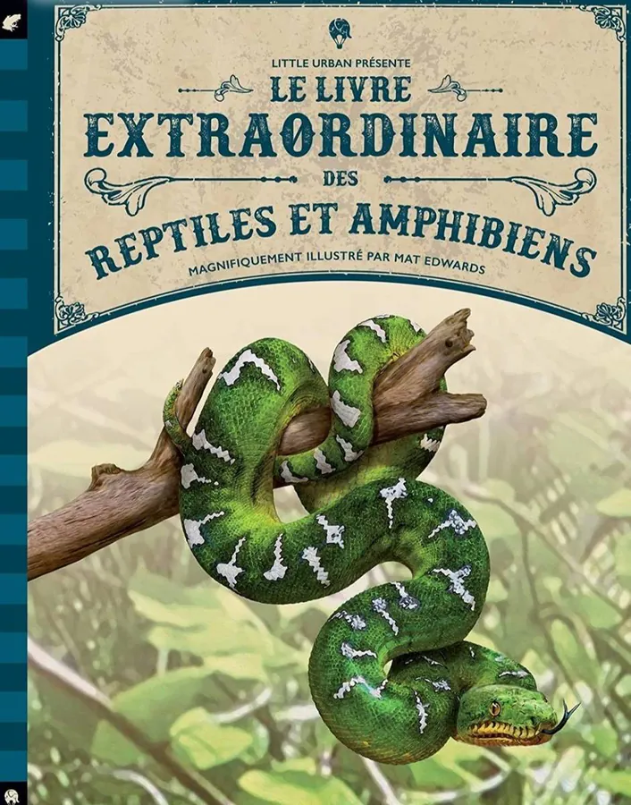 Image postée par le membre