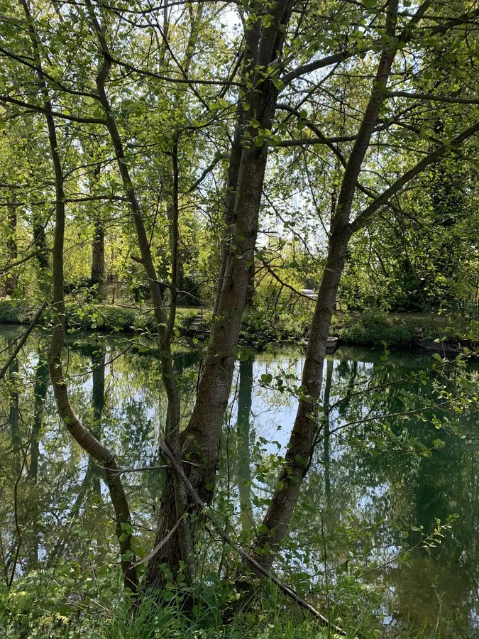 Image postée par le membre