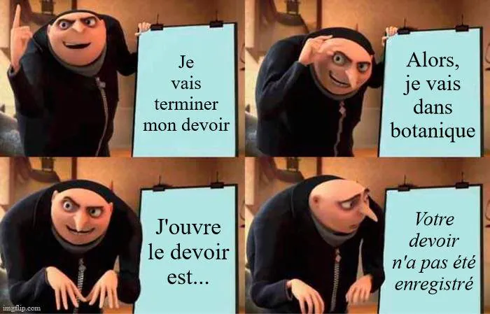 Image postée par le membre