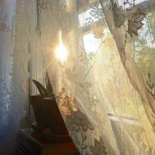 Image postée par le membre