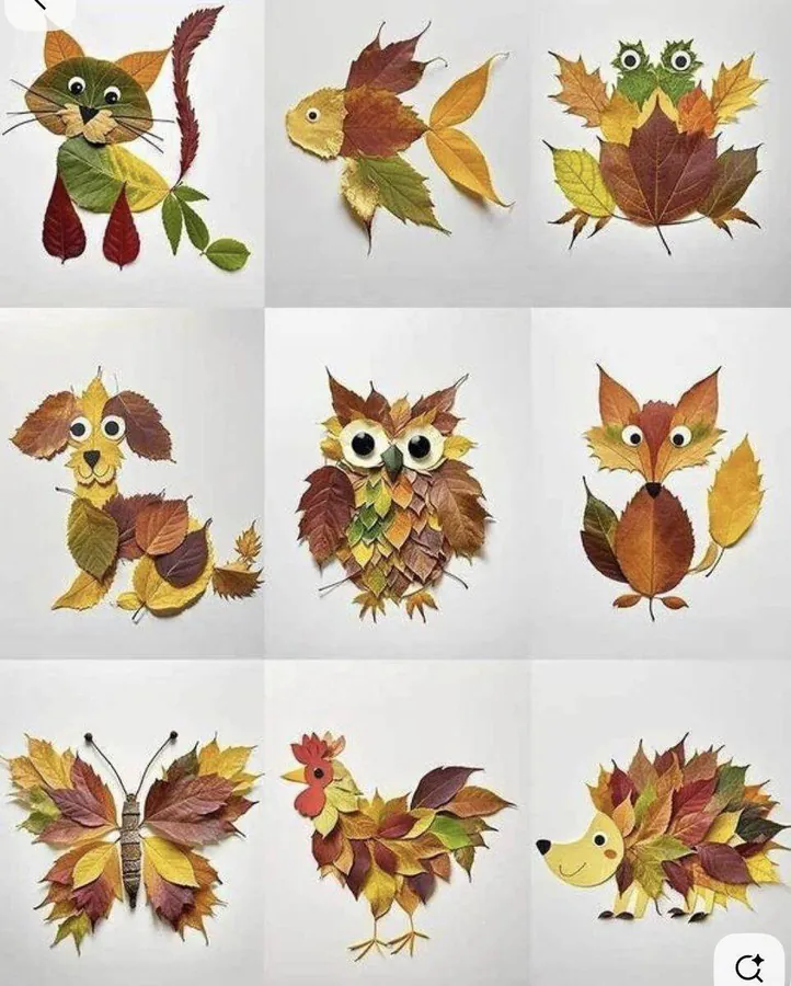 Image postée par le membre