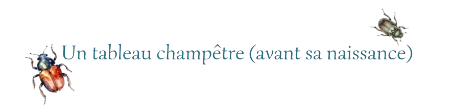 Image postée par le membre