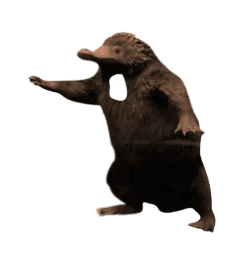 Image postée par le membre