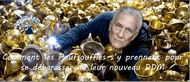 Image postée par le membre