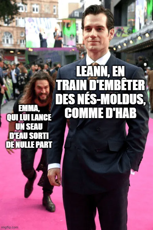 Image postée par le membre