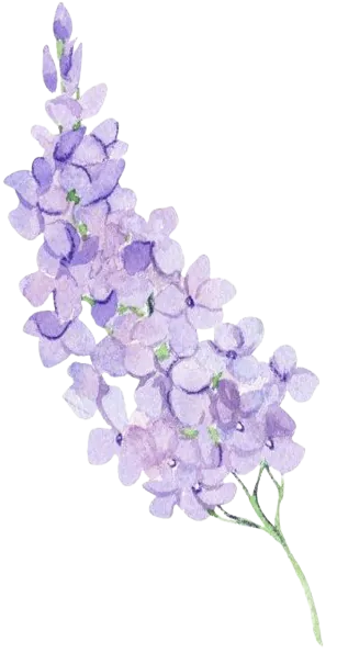 Image postée par le membre