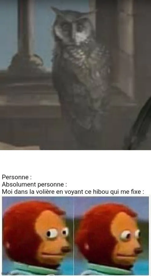 Image postée par le membre