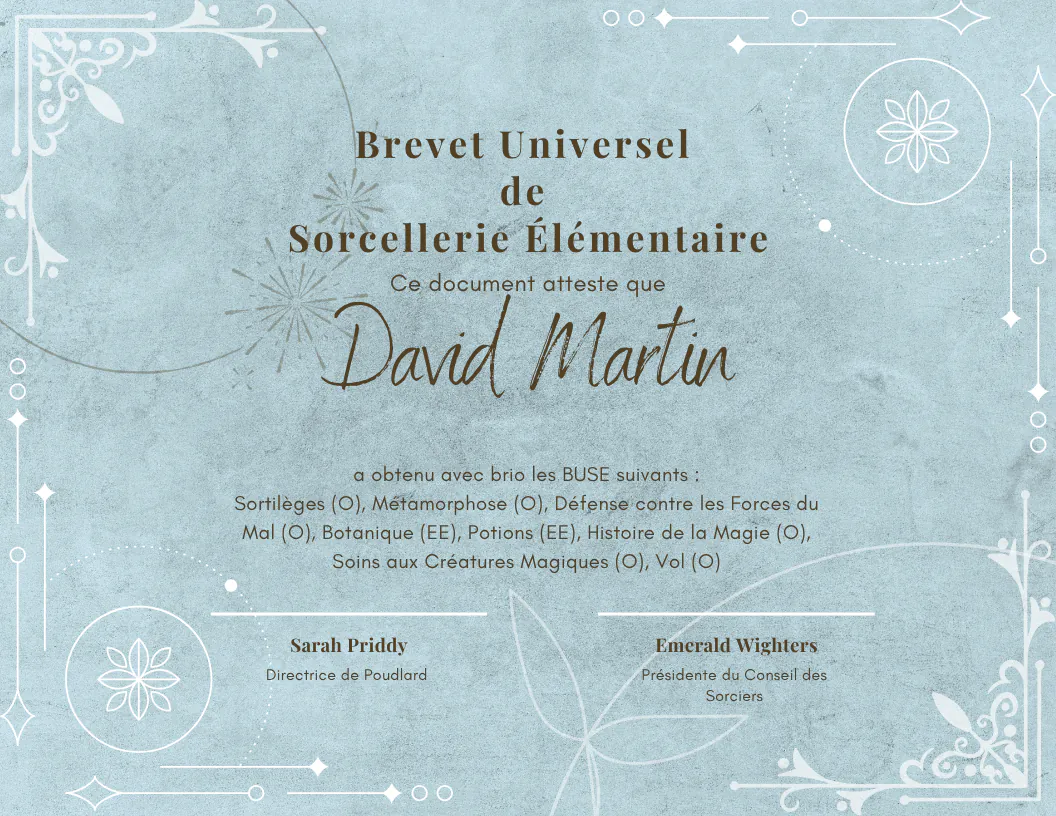 BUSE de David Martin