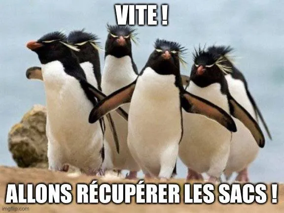 Image postée par le membre