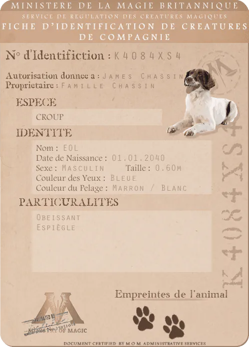 Image postée par le membre