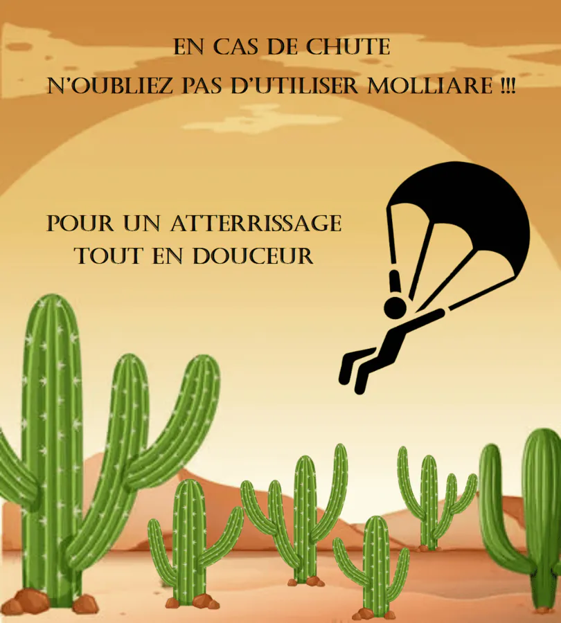 Image postée par le membre