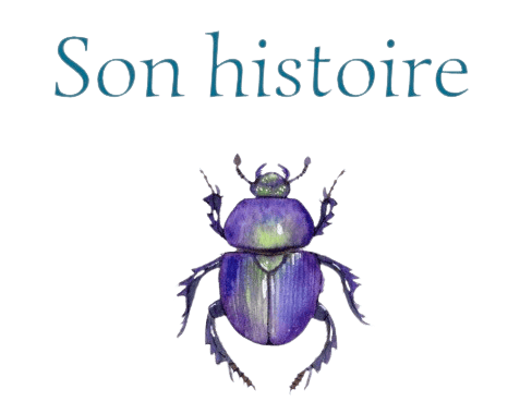 Image postée par le membre