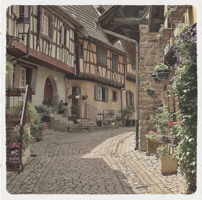 Image postée par le membre