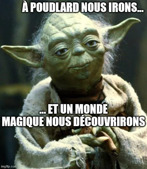 Image postée par le membre