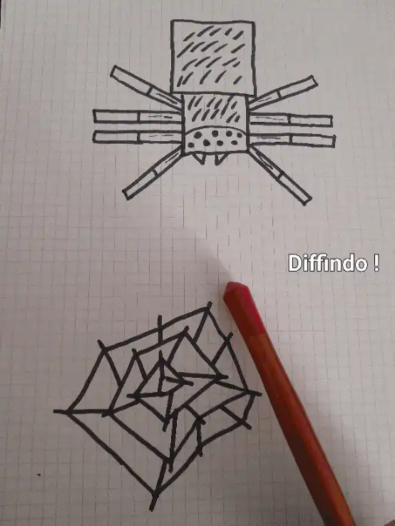 Image postée par le membre